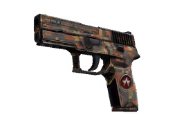 P250 | Red Rock (Battle-Scarred)